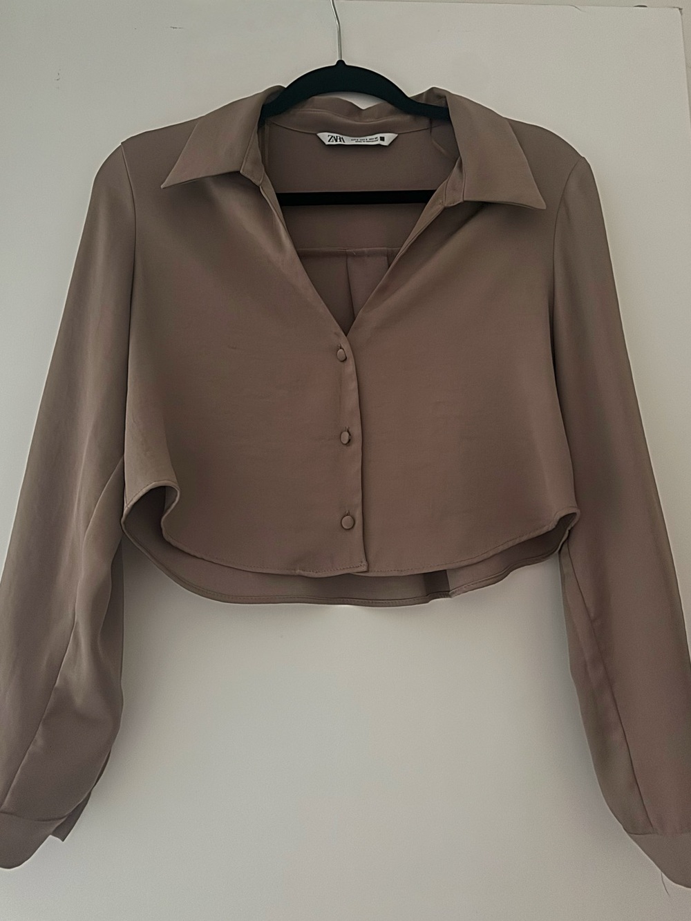 ZARA Taupe Cropped Button-Front Blouse
